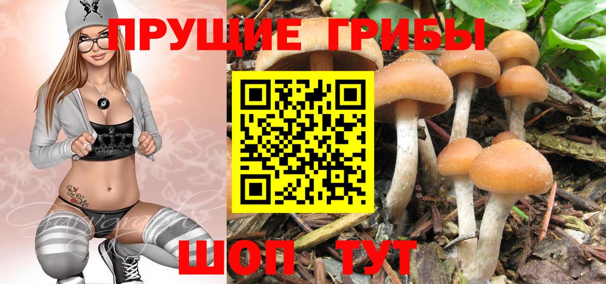 Галлюциногенные грибы ЛСД Выборг