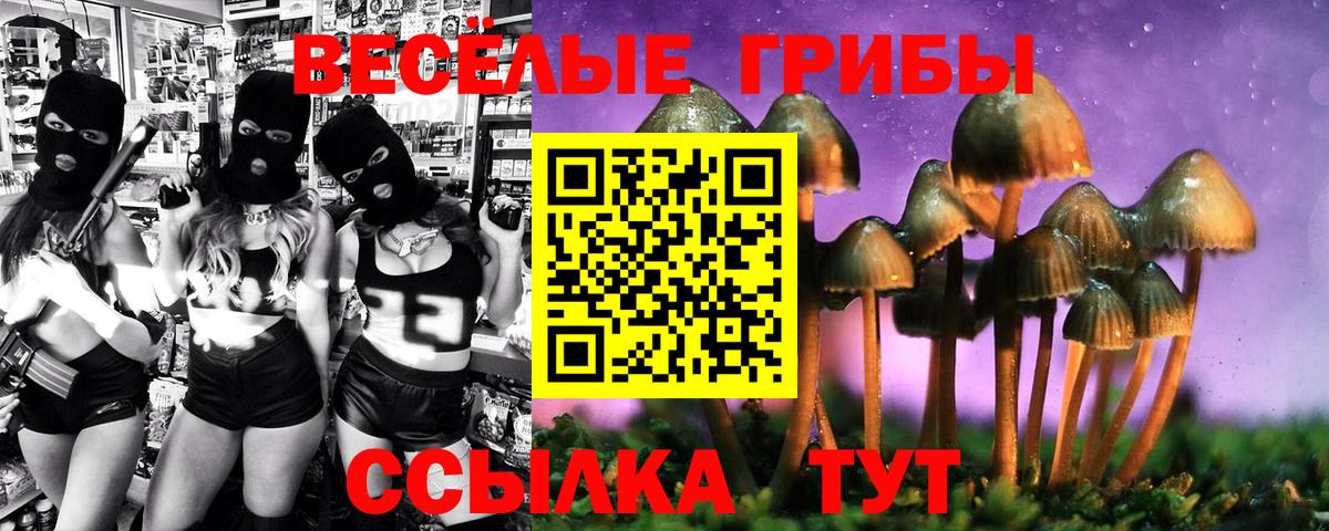 Выборг  Псилоцибиновые грибы MAGIC MUSHROOMS  Вход с VPN 